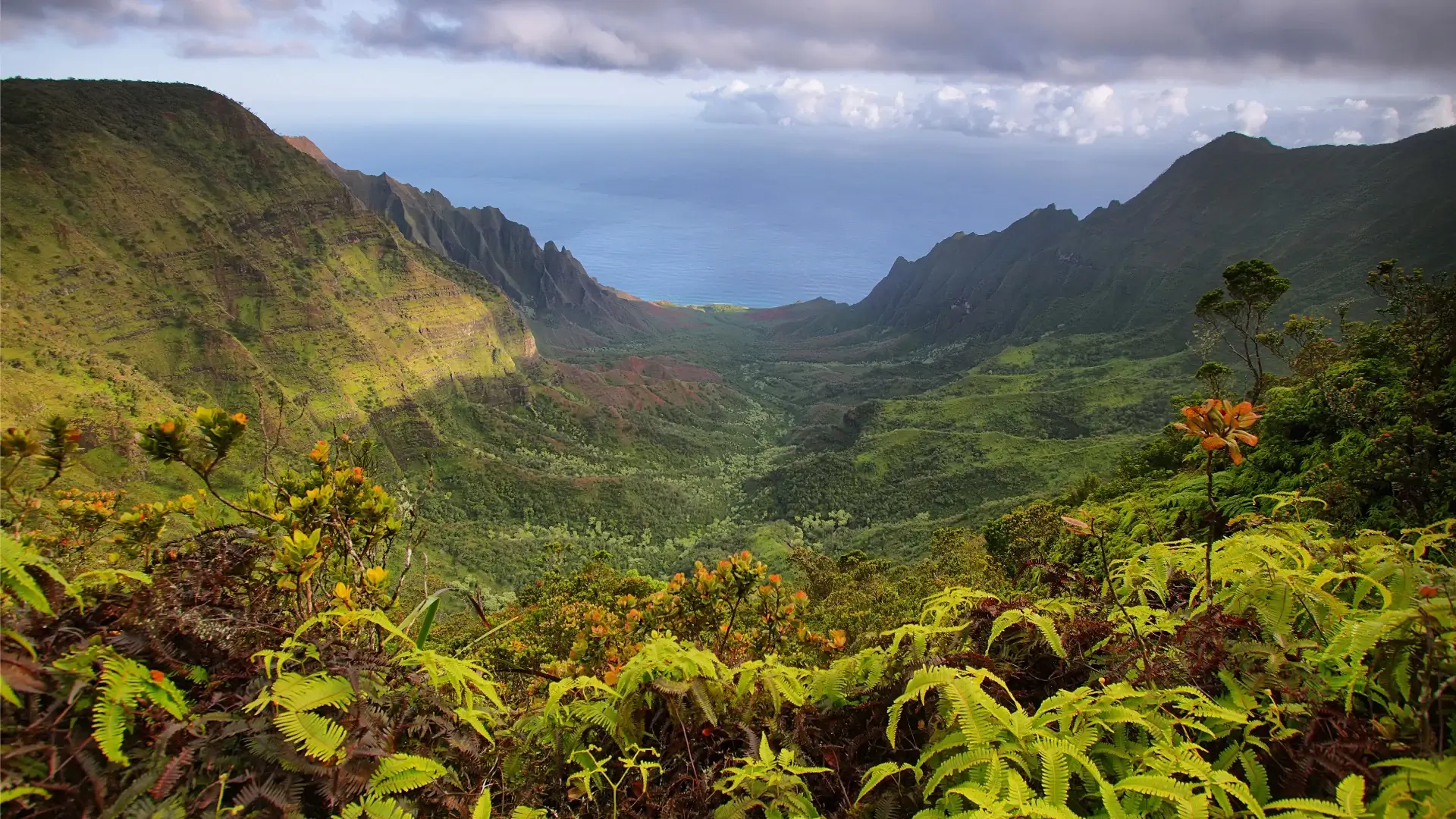 Panorama del Kōkeʻe State Park